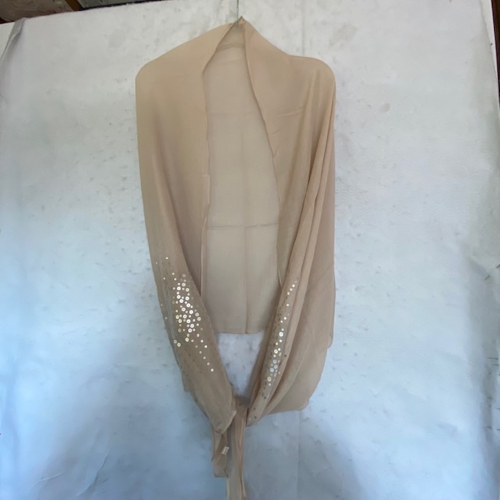 Semi Sheer Lightweight Silver Sequin Embellished Shawl - Picture 4 of 12